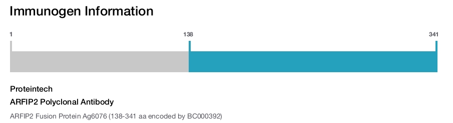 ARFIP2 Polyclonal Antibody