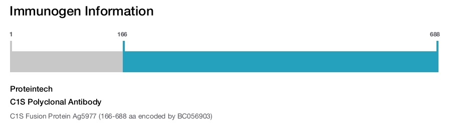 C1S Polyclonal Antibody