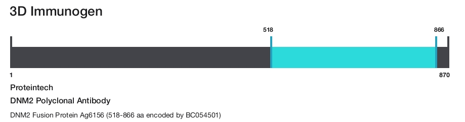 DNM2 Polyclonal Antibody