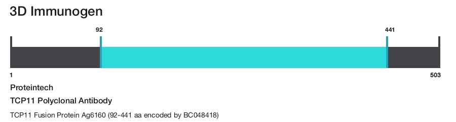 TCP11 Polyclonal Antibody