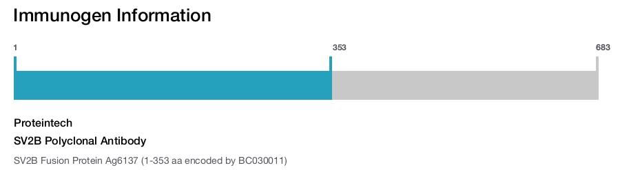 SV2B Polyclonal Antibody