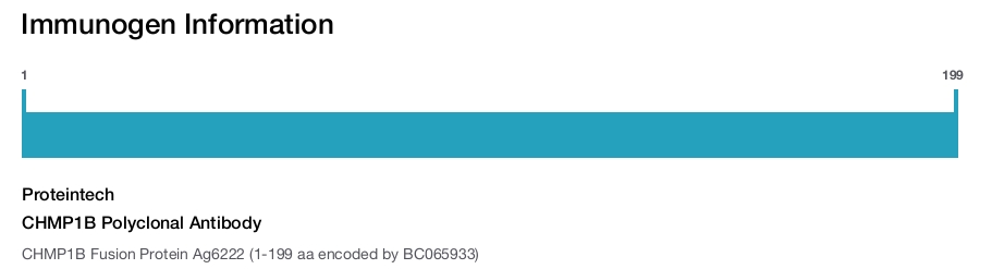 CHMP1B Polyclonal Antibody
