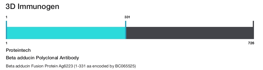 Beta adducin Polyclonal Antibody