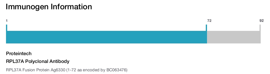 RPL37A Polyclonal Antibody