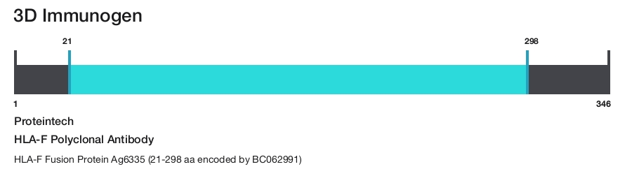 HLA-F Polyclonal Antibody