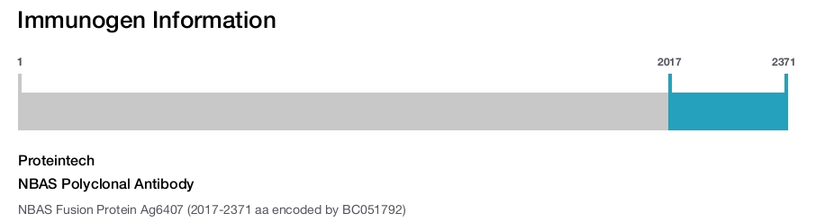 NBAS Polyclonal Antibody