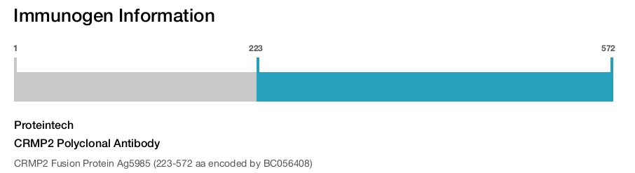 CRMP2 Polyclonal Antibody