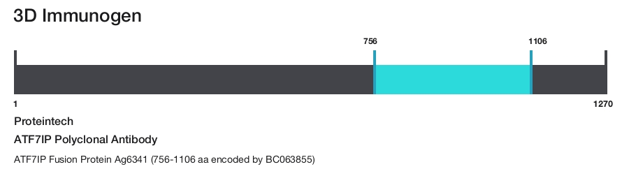 ATF7IP Polyclonal Antibody