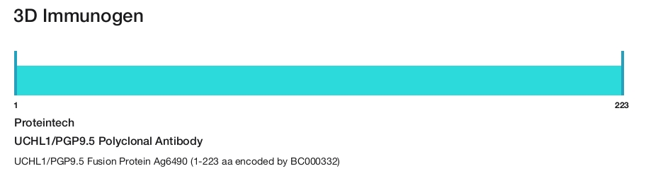 UCHL1/PGP9.5 Polyclonal Antibody