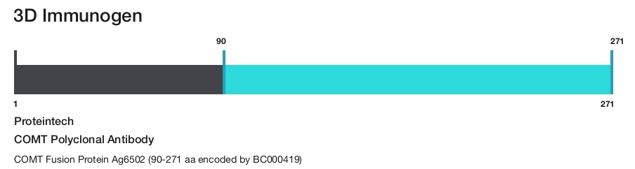 COMT Polyclonal Antibody