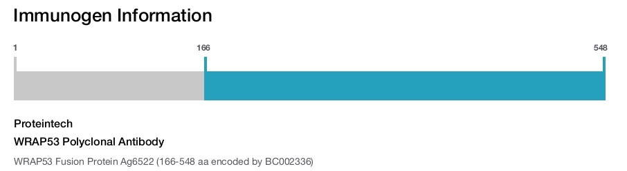 WRAP53 Polyclonal Antibody