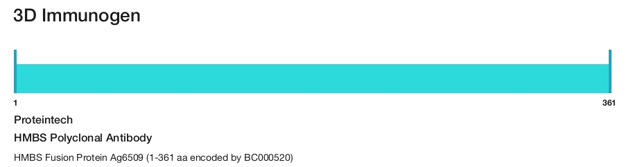 HMBS Polyclonal Antibody