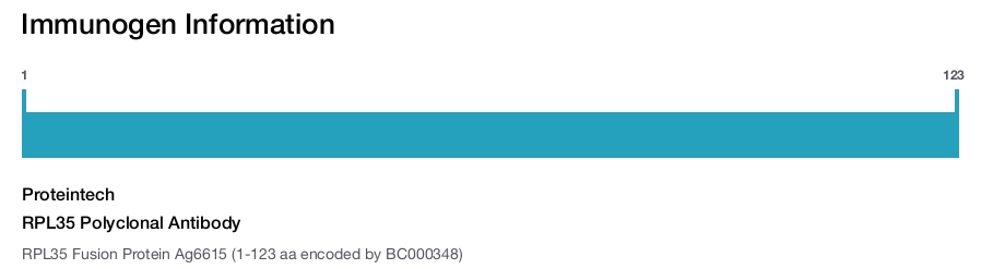 RPL35 Polyclonal Antibody