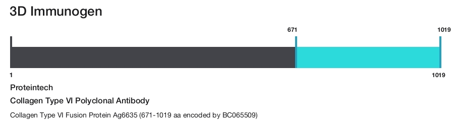 Collagen Type VI Polyclonal Antibody
