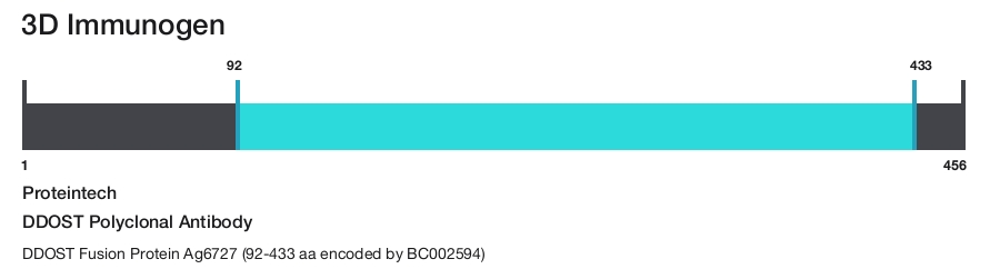 DDOST Polyclonal Antibody