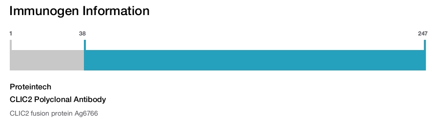 CLIC2 Polyclonal Antibody