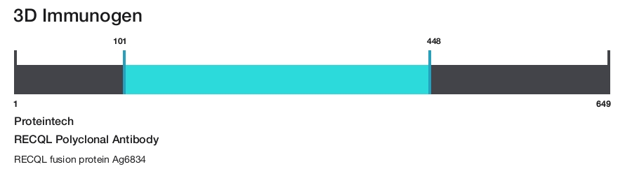 RECQL Polyclonal Antibody