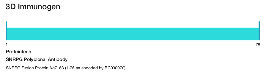 SNRPG Polyclonal Antibody