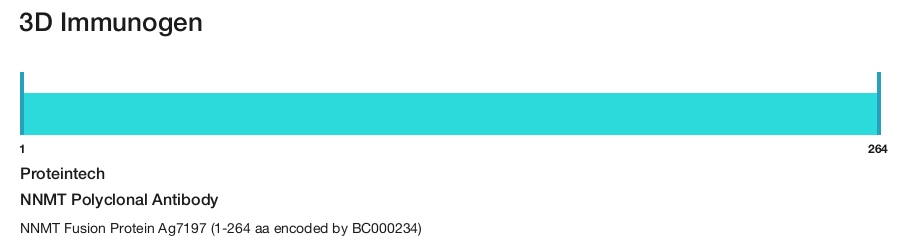 NNMT Polyclonal Antibody
