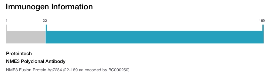 NME3 Polyclonal Antibody