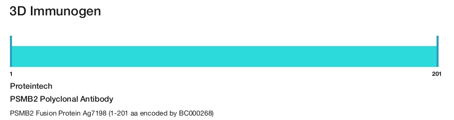 PSMB2 Polyclonal Antibody