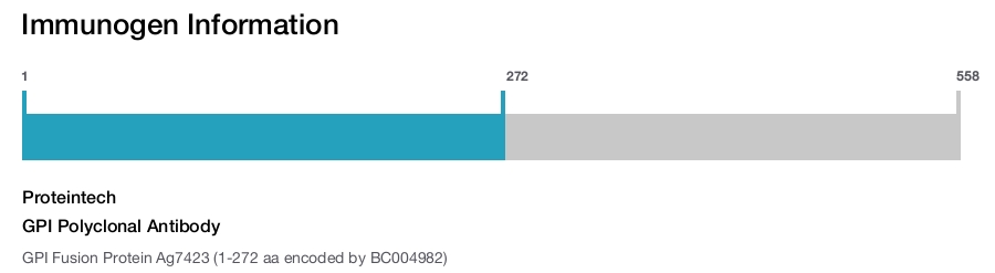 GPI Polyclonal Antibody