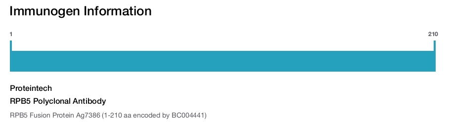 RPB5 Polyclonal Antibody
