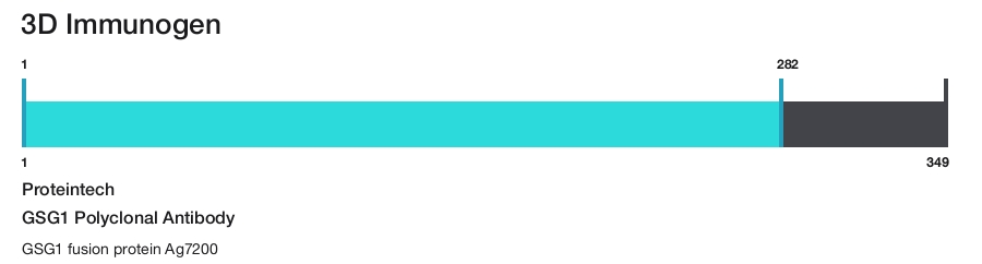 GSG1 Polyclonal Antibody