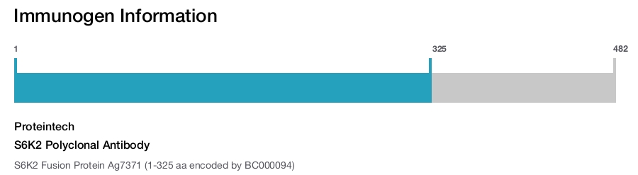 S6K2 Polyclonal Antibody