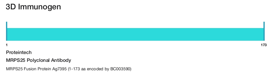 MRPS25 Polyclonal Antibody