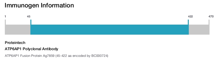 ATP6AP1 Polyclonal Antibody