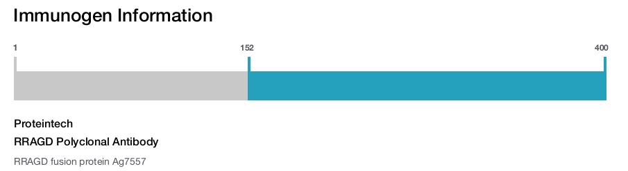 RRAGD Polyclonal Antibody