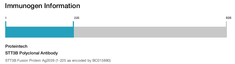 STT3B Polyclonal Antibody