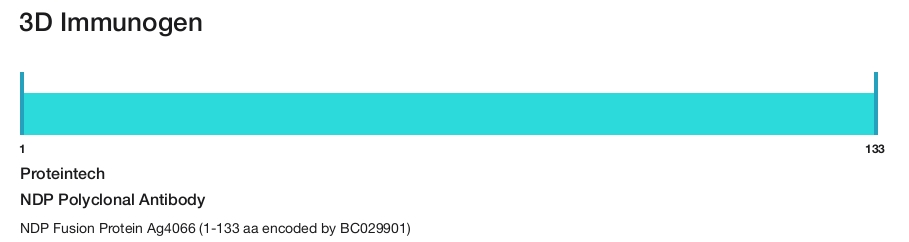 NDP Polyclonal Antibody