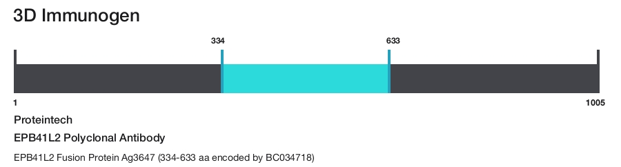 EPB41L2 Polyclonal Antibody
