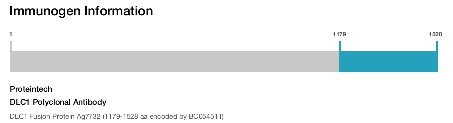 DLC1 Polyclonal Antibody