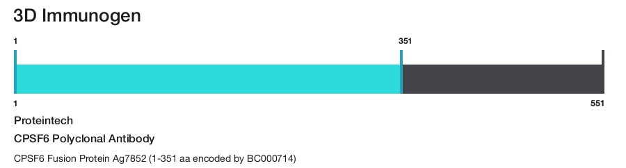 CPSF6 Polyclonal Antibody