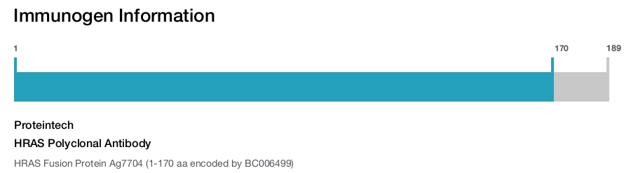 HRAS Polyclonal Antibody