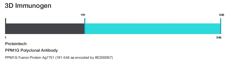 PPM1G Polyclonal Antibody
