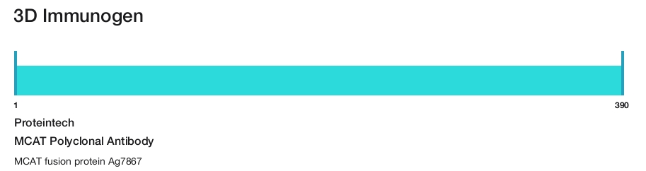MCAT Polyclonal Antibody