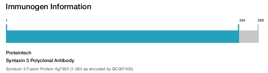 Syntaxin 3 Polyclonal Antibody