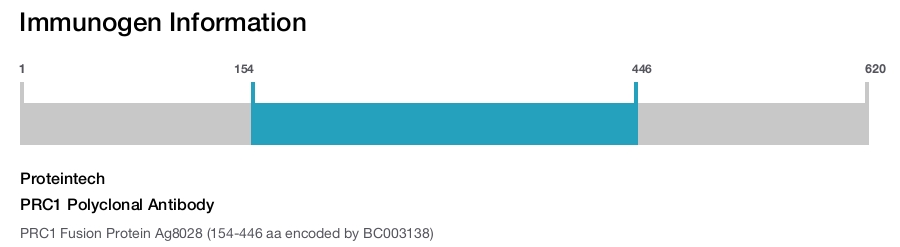 PRC1 Polyclonal Antibody