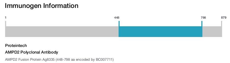 AMPD2 Polyclonal Antibody