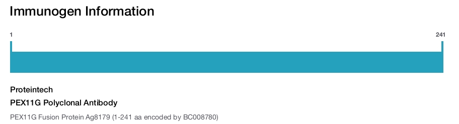 PEX11G Polyclonal Antibody