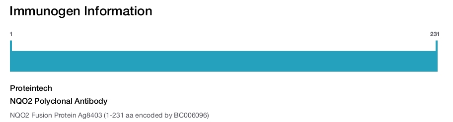 NQO2 Polyclonal Antibody