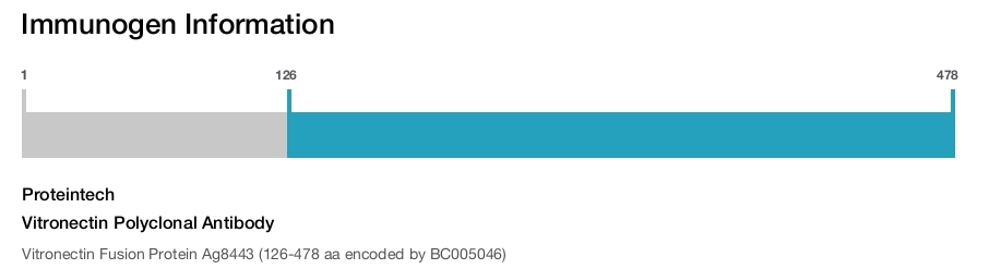 Vitronectin Polyclonal Antibody