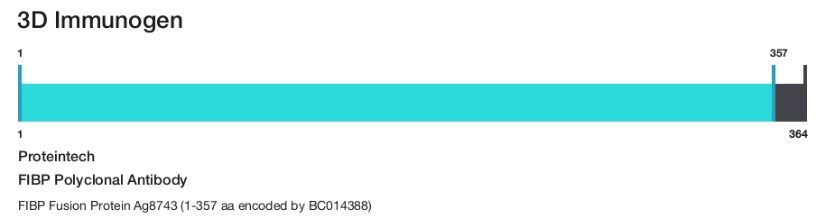 FIBP Polyclonal Antibody