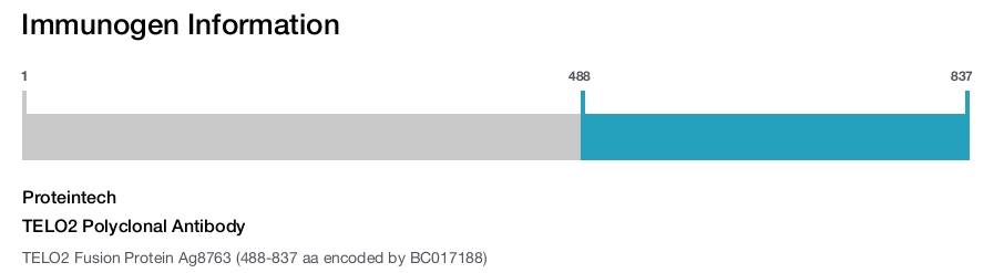 TELO2 Polyclonal Antibody