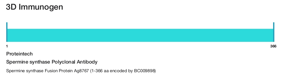Spermine synthase Polyclonal Antibody