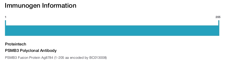 PSMB3 Polyclonal Antibody